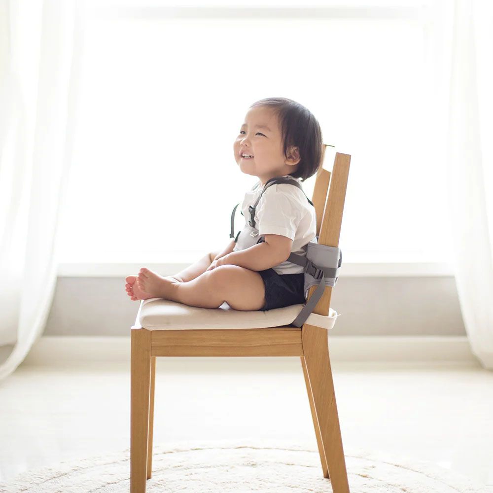 Hugpapa Dial-Fit 2合1幼兒座椅及學行帶 (6-36個月) - Image 6